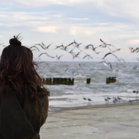 Lägenhet White Pearl 2.05 *