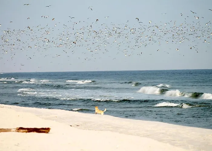 Lägenhet White Pearl 2.05 *