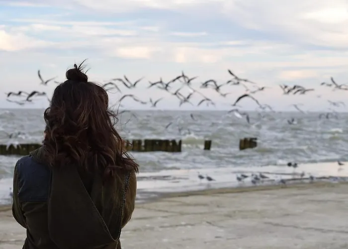 Lägenhet White Pearl 2.05 *